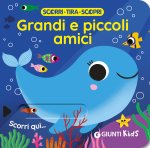 Chi è il più grande? Scorri, tira e scopri