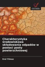 Charakterystyka srodowiskowa skladowania odpadów w postaci pasty powierzchniowej