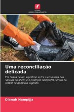 Uma reconciliação delicada