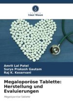 Megaloporöse Tablette: Herstellung und Evaluierungen