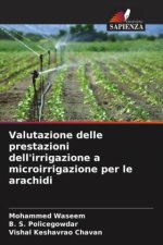 Valutazione delle prestazioni dell'irrigazione a microirrigazione per le arachidi