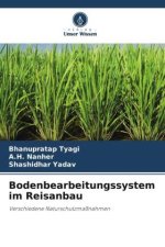 Bodenbearbeitungssystem im Reisanbau