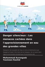 Danger silencieux : Les menaces cachées dans l'approvisionnement en eau des grandes villes