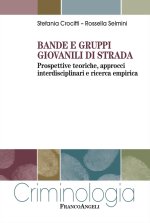 Bande e gruppi giovanili di strada. Prospettive teoriche, approcci interdisciplinari e ricerca empirica