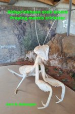 Bidsprinkhaan stelt attent - Praying mantis trickster