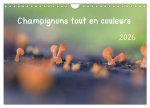 CHAMPIGNONS TOUT EN COULEURS CALENDRIER