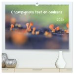 CHAMPIGNONS TOUT EN COULEURS CALENDRIER