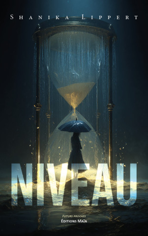 Niveau