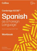Cambridge IGCSE(TM) Spanish Workbook
