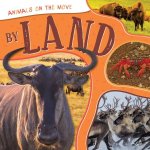 By Land