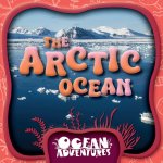 The Arctic Ocean