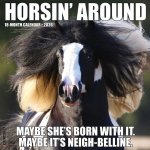 Horsin' Around 2026 12 X 12 Wall Calendar