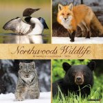 Northwoods Wildlife 2026 12 X 12 Wall Calendar