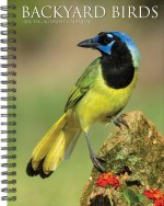 Backyard Birds 2026 6.5 X 8.5 Engagement Calendar
