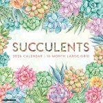 Succulents--Large Grid 2026 12 X 12 Wall Calendar