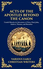 Acts of the Apostles Beyond the Canon