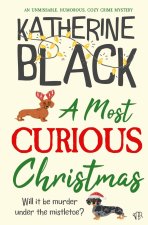 A Most Curious Christmas
