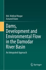 Dams, Development and Environmental Flow in the Damodar River Basin