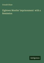 Eighteen Months' imprisonment  with a Remission