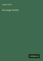 Der junge Goethe