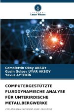 COMPUTERGESTÜTZTE FLUIDDYNAMISCHE ANALYSE FÜR UNTERIRDISCHE METALLBERGWERKE