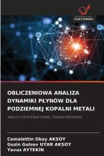 OBLICZENIOWA ANALIZA DYNAMIKI P¿YNÓW DLA PODZIEMNEJ KOPALNI METALI