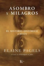 Asombro y milagros: El misterio histórico de Jesús