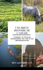 Une brève histoire de l'Assam | L'Assam, le pays du rhinocéros, du thé et du Brahmapoutre