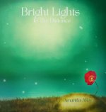 Bright Lights In The Distance