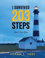 I Survived 203 Steps