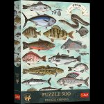 Puzzle 500 elementów. Trefl Premium Plus Finders Keepers: Ryby