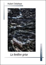 La fenêtre grise