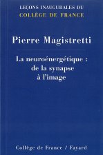 LA NEUROENERGETIQUE : DE LA SYNAPSE A L'IMAGE