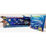Čti a skládej Dioráma - ZVÍŘATA V MOŘÍCH