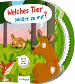 Dreh das Rad und find's heraus!: Welches Tier gehört zu mir?
