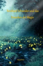 Reinhard Schneider und das Erwachen der Magie - Eine Zauberer Hexen Magier Fantasy Magic Zauberschule Nürnberg Geschichte