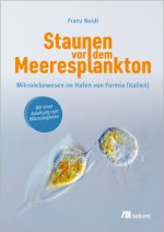 Staunen vor dem Meeresplankton