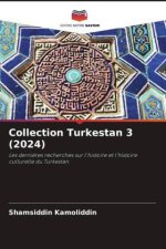 Collection Turkestan 3 (2024)