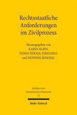 Rechtsstaatliche Anforderungen im Zivilprozess