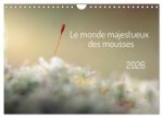MONDE MAJESTUEUX MOUSSES CALENDRIER MURA
