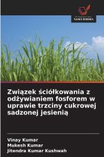Zwiazek sciólkowania z odzywianiem fosforem w uprawie trzciny cukrowej sadzonej jesienia