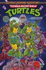 Saturday morning adventures. Teenage mutant ninja turtles