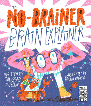The No-Brainer Brain Explainer