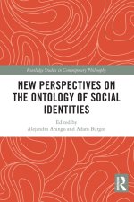 New Perspectives on the Ontology of Social Identities