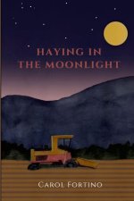 Haying in the Moonlight