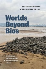 Worlds Beyond BIOS
