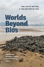 Worlds Beyond BIOS
