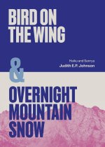 Bird on the Wing & Overnight Mountain Snow