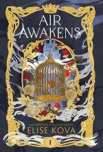 Air Awakens
