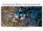 Faszination blaue Unterwasserwelt (Wandkalender 2026 DIN A2 quer), CALVENDO Monatskalender